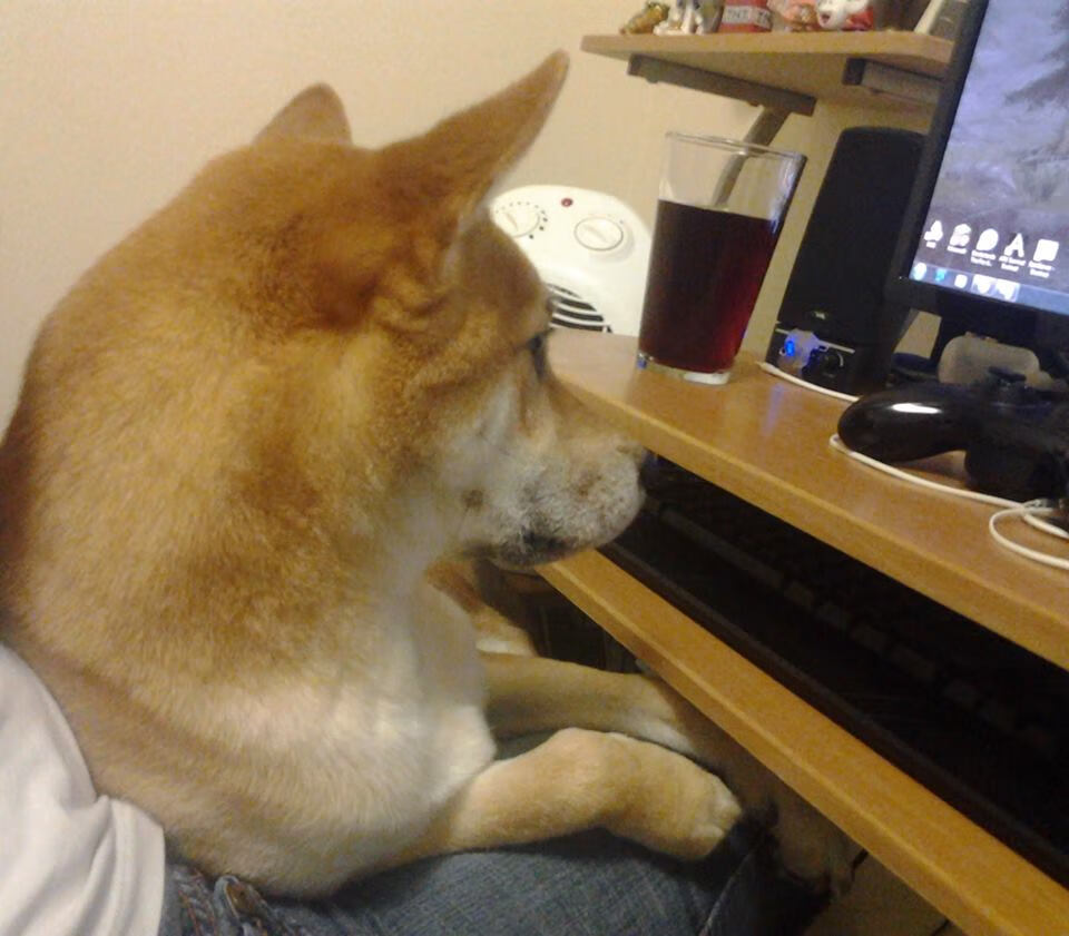 爱游戏下载-“漂移艺术：弯道飞旋的极致表现”，弯道漂移为什么要打反方向