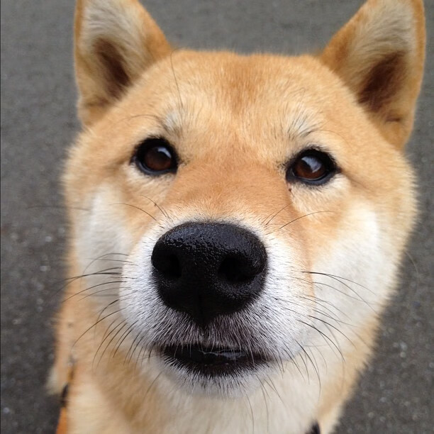 “生死瞬间:赛场上的救援与奇迹”,生死瞬间视频