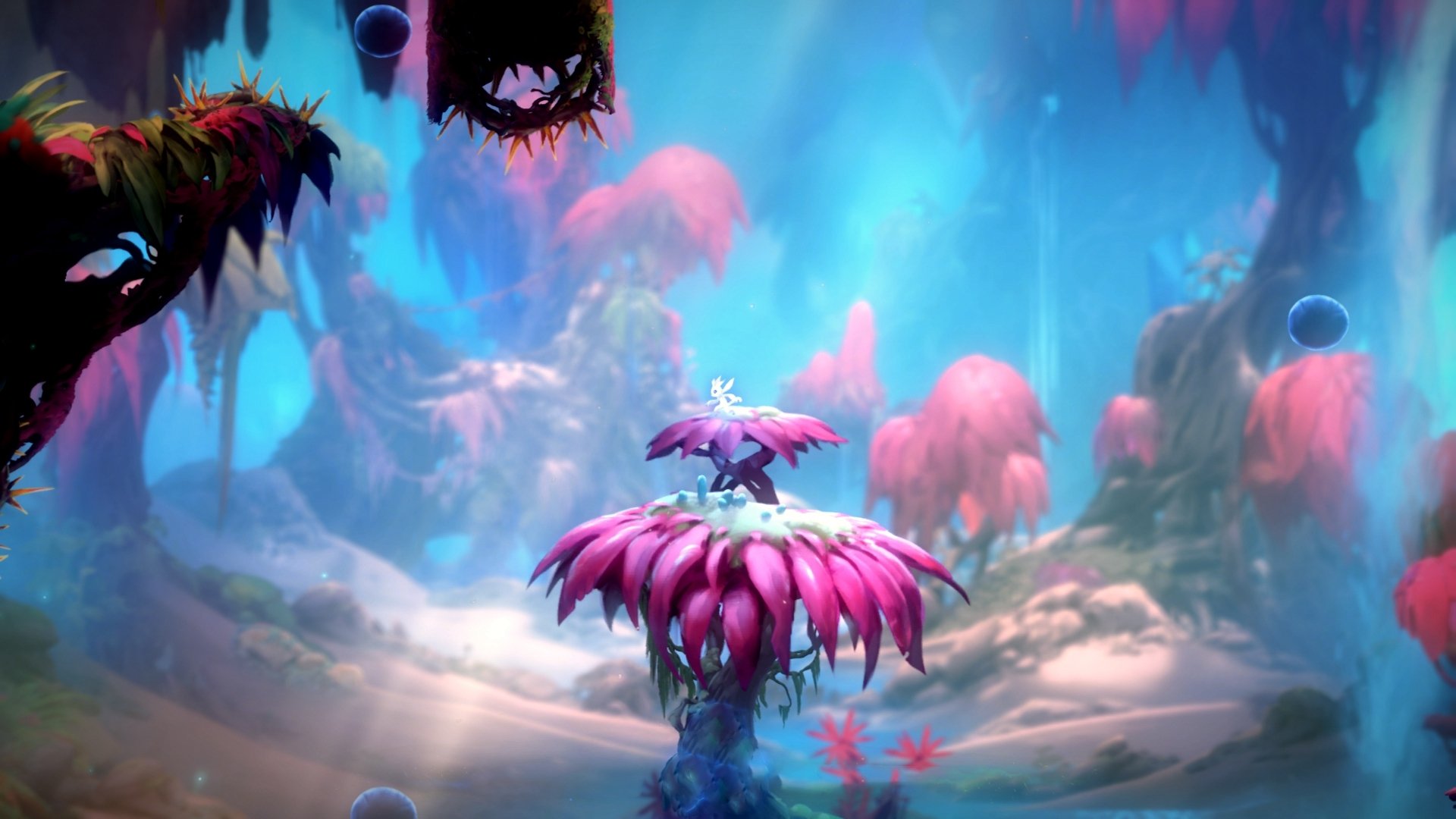 “西甲明星连续发威，带领队伍稳步前行”，西甲有谁