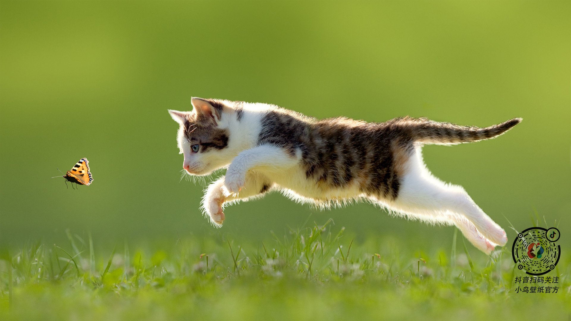 爱游戏电竞官网-利物浦中场魔术师展现统治力，利物浦著名中场