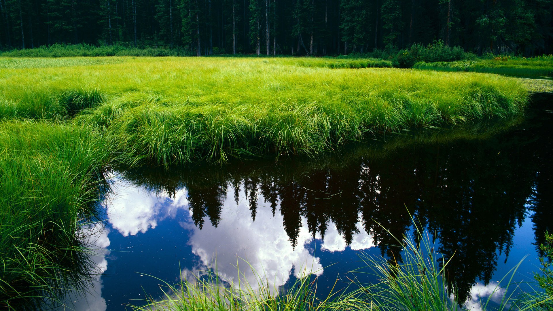 巴塞罗那主力中场受伤,影响球队阵容完整性,巴塞罗那全队