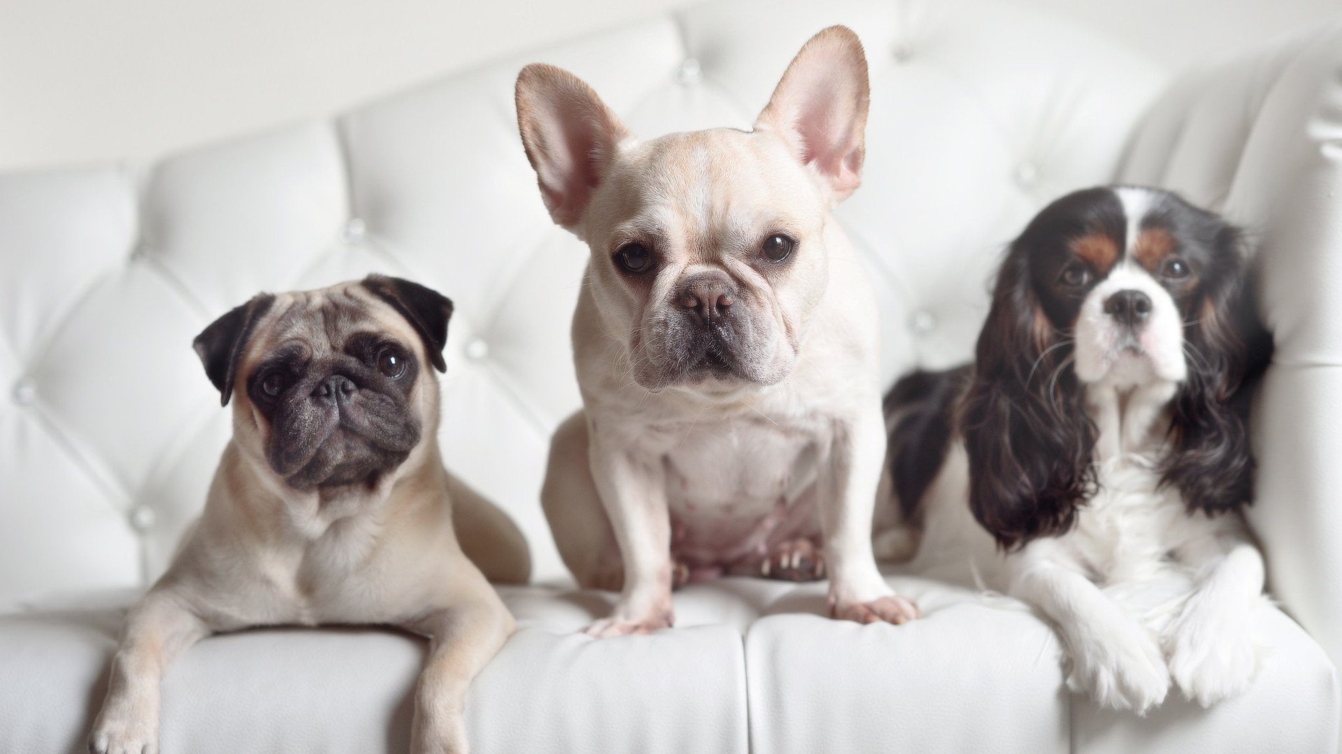 斯旺森进球助美国女足时隔12年再夺奥运金,斯旺森知乎