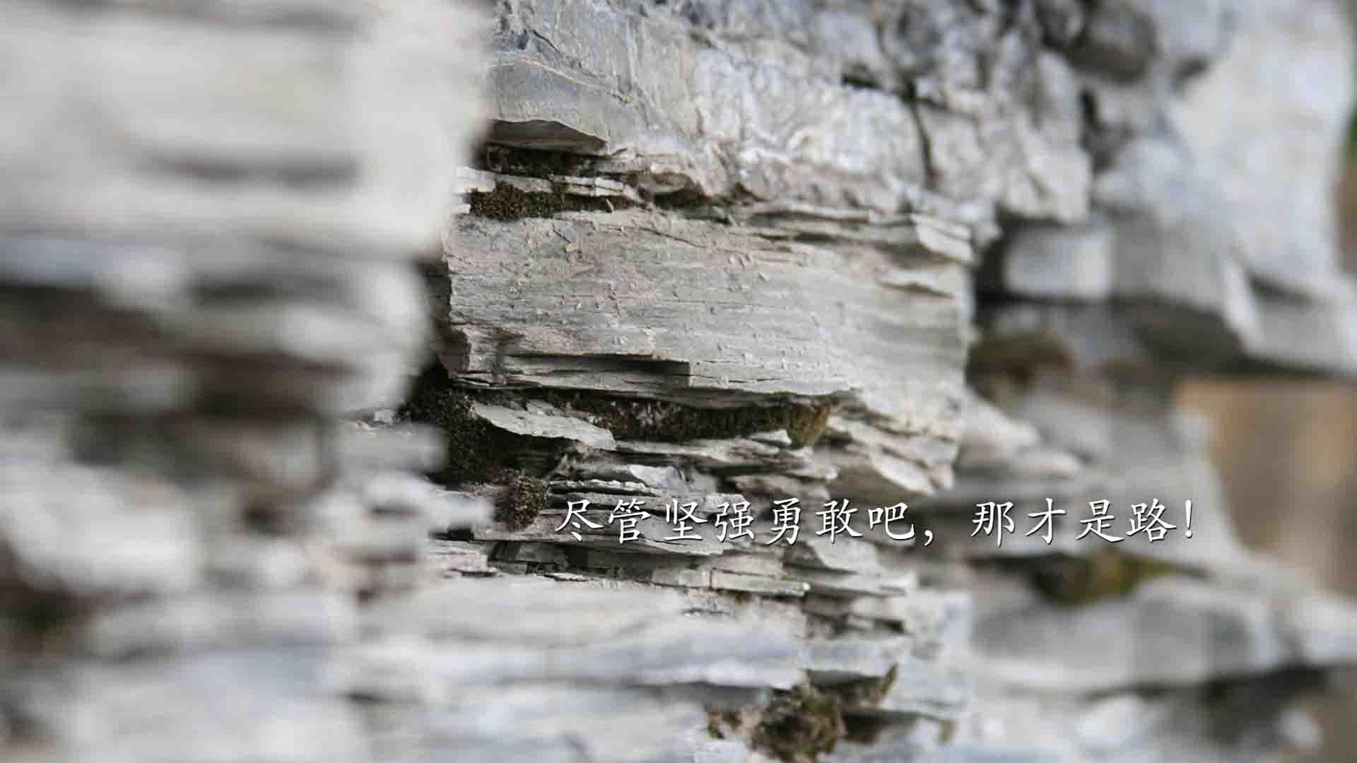 羽毛球决赛:引爆全场的超级对抗,羽毛球比赛视频2020总决赛完整版