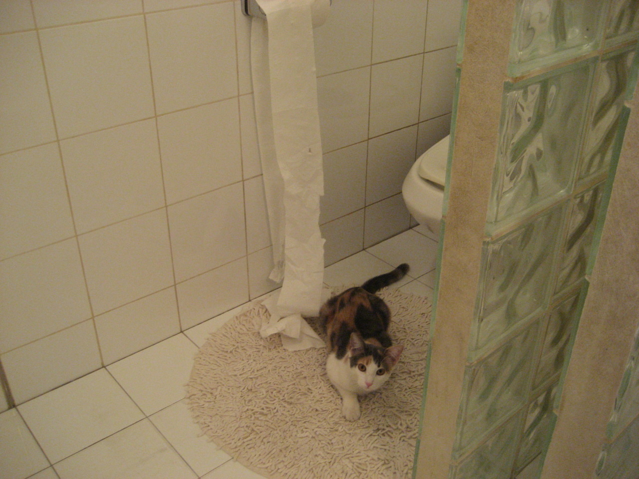 赛季最佳盖帽:那些令人惊叹的防守瞬间,单赛季盖帽最多的后卫