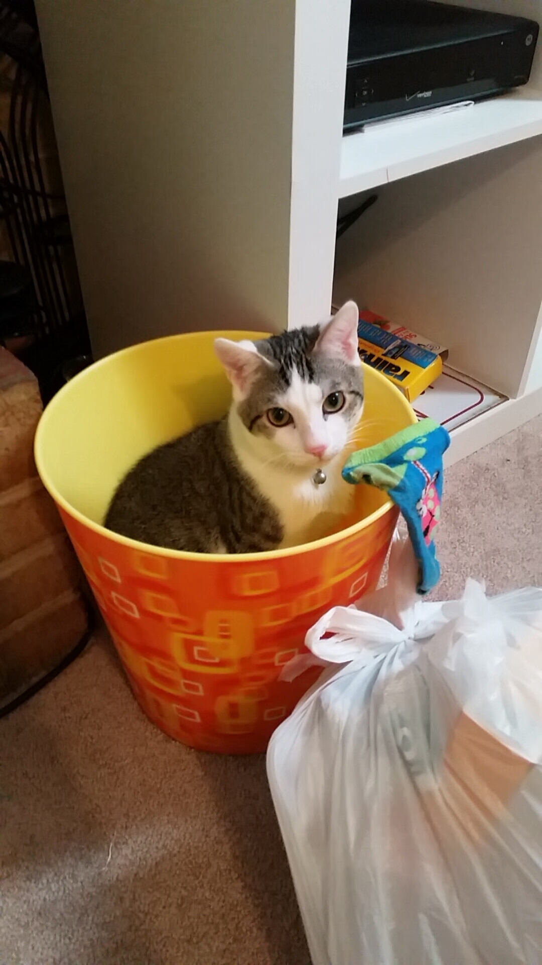 凯撒酋长备战南非国家德比,力争胜利,凯撒被称为无冕之王还是帝国先驱