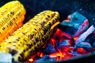 爱游戏中国官方网站平台-运动饮食干预对运动表现的促进研究，举例阐述饮食运动对健康的意义