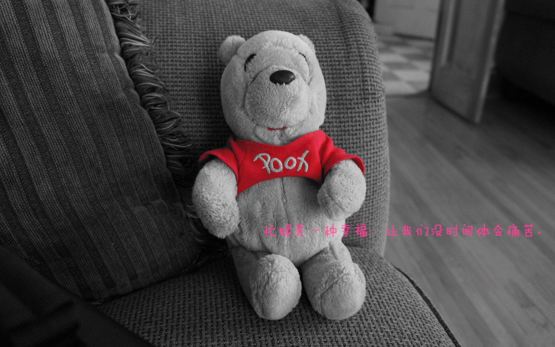 体育新闻中心联合头部平台开展体育话题共创计划,体育新闻分享