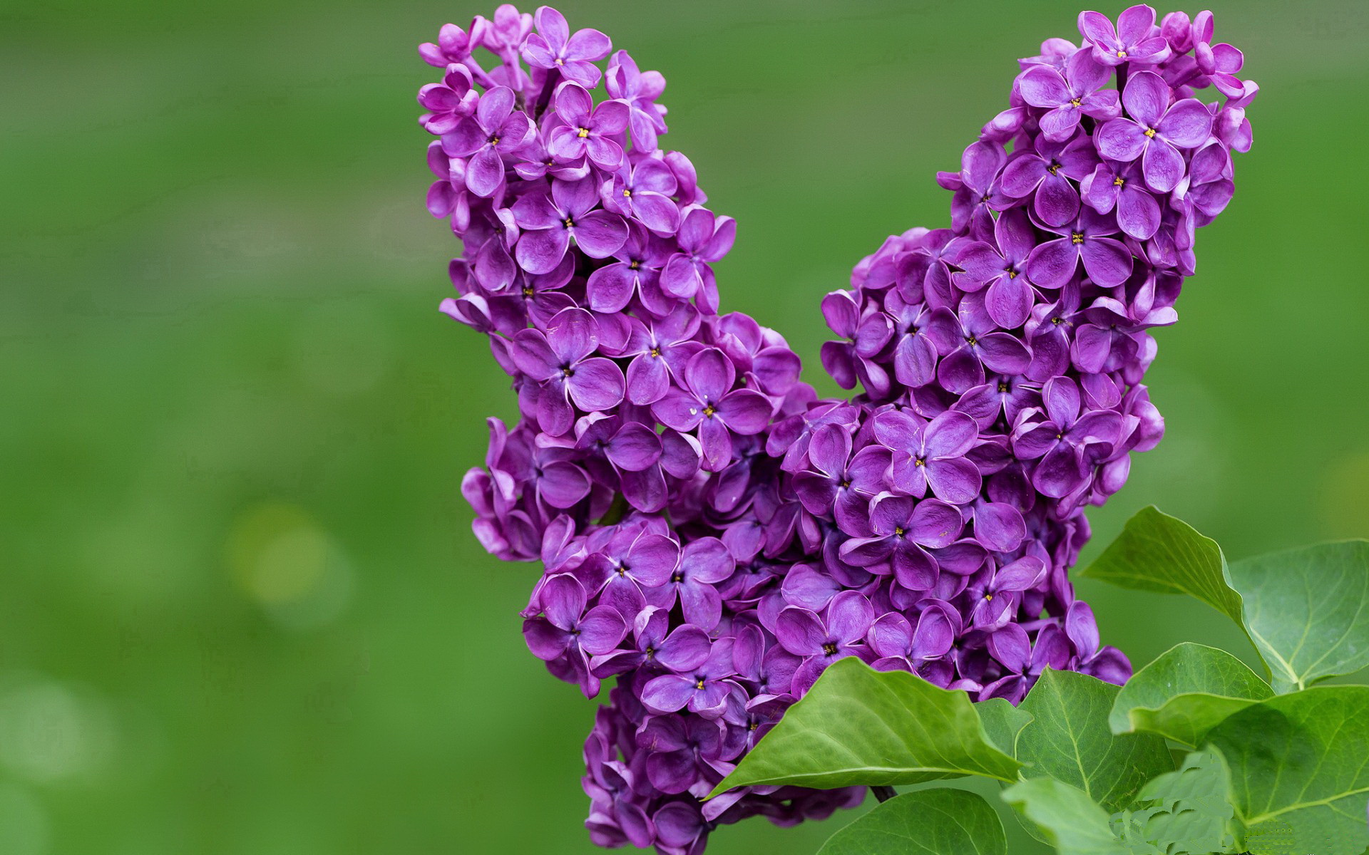 爱游戏体育app-快节奏是否更依赖空间拉扯和转移球能力，快节奏的现象