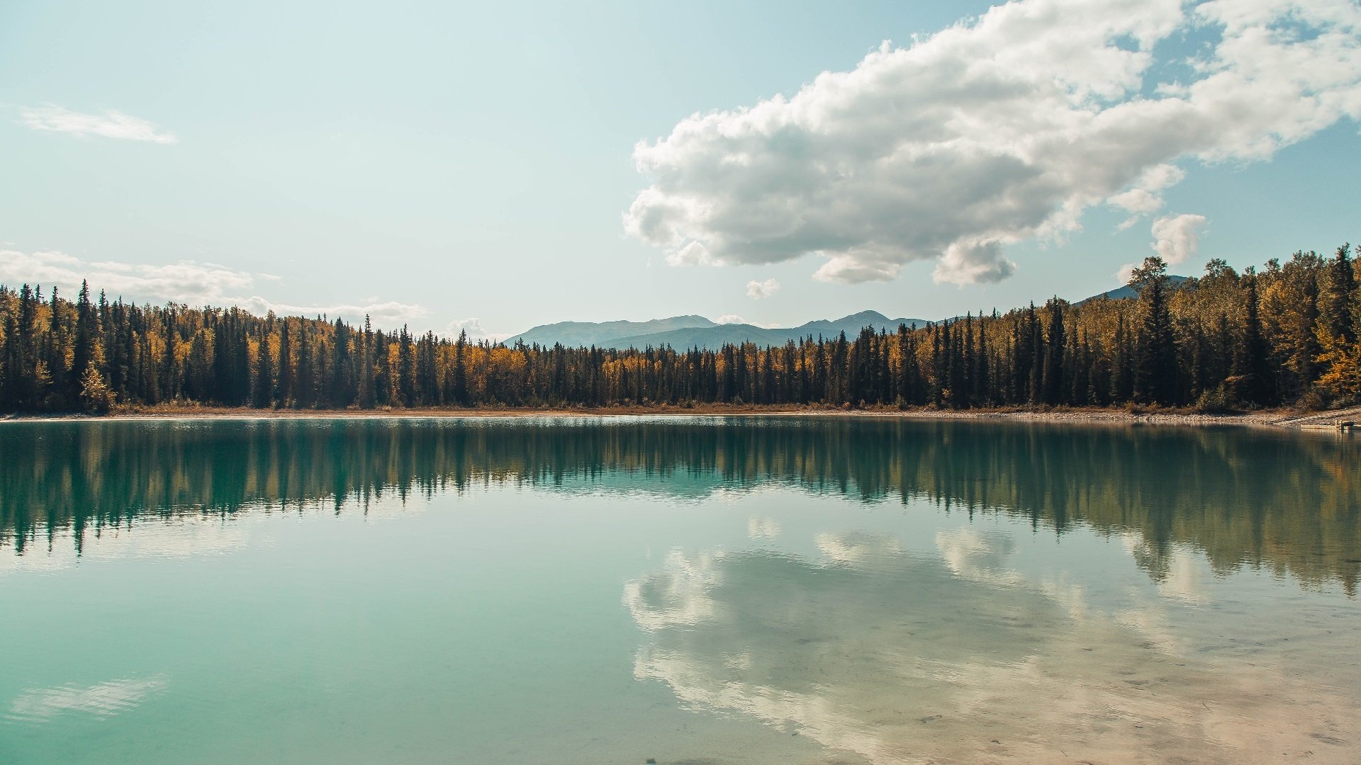 英超榜首大战 曼城主场力克阿森纳,英超第17轮_曼城15连胜创英超纪录 阿森纳利物浦遭平局