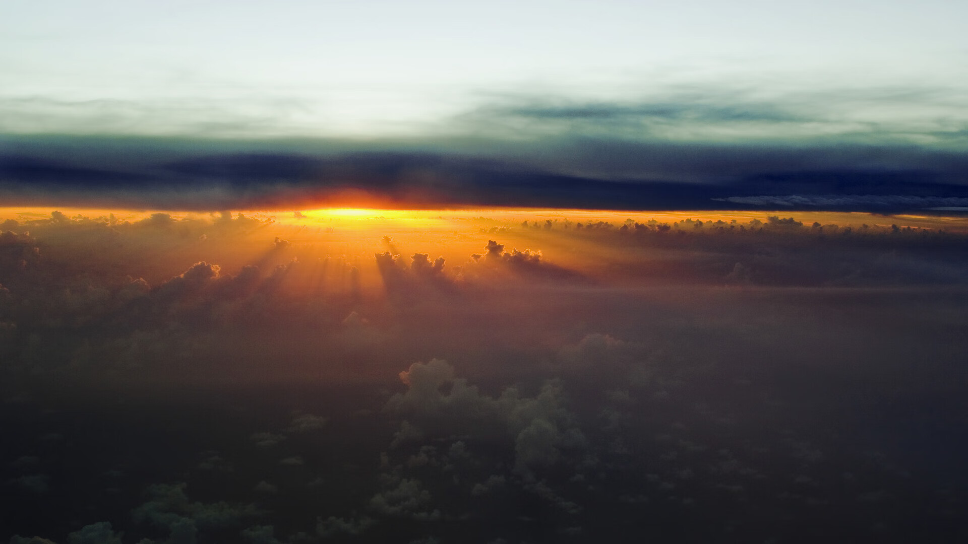 辽宁飞豹战术创新成为球队成功关键,辽宁飞豹吧 百度贴吧