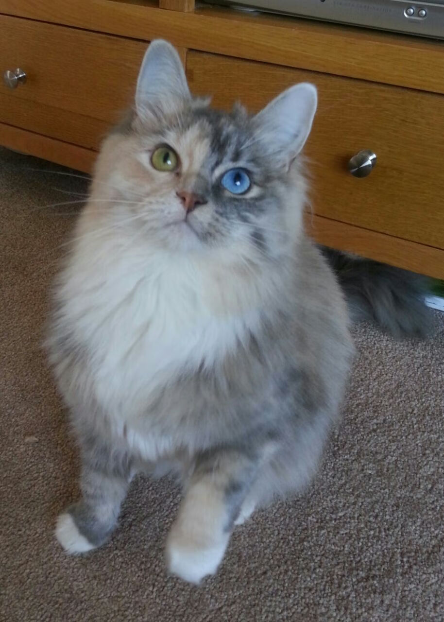 爱游戏体育-乌拉圭男篮在南美锦标赛中持续高光，一路领先，乌拉圭男篮nba球员