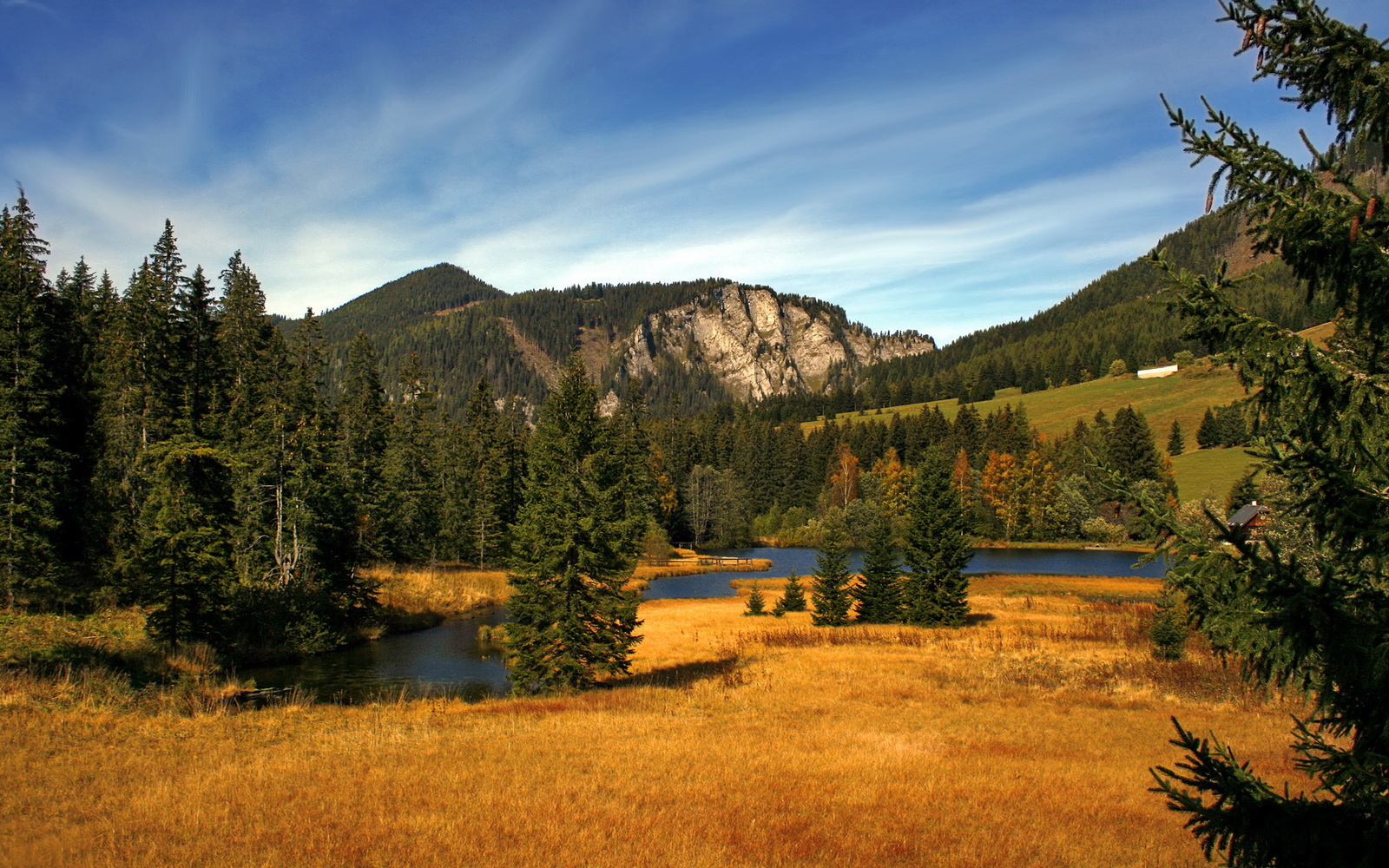 爱游戏中国官方登录入口网站-巴西足球文化深厚，青训体系迎来新突破