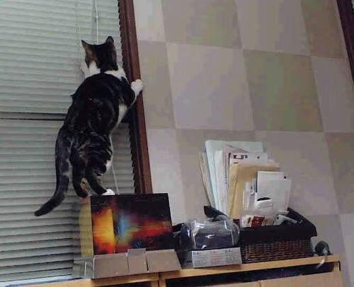 爱游戏-德甲攻防激战：节奏快、精彩无限！，德甲战术