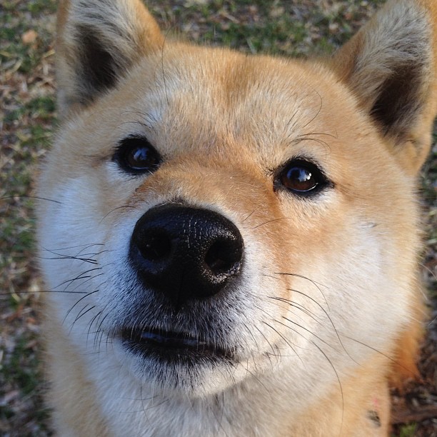 爱游戏在线登录入口-文莱男篮在亚洲锦标赛中奋勇争夺，信心满满