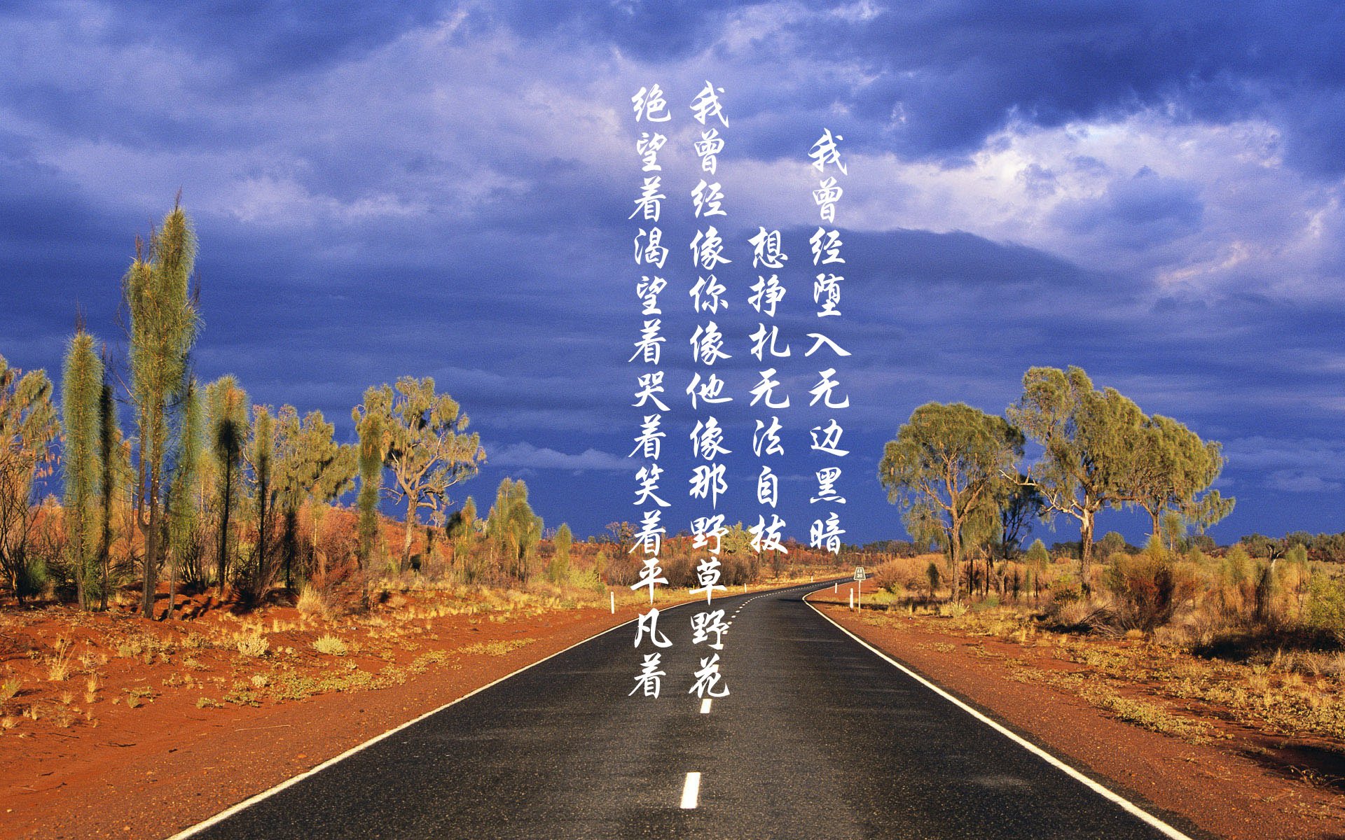 爱尔兰男队的未来依赖年轻球员崛起,爱尔兰男篮水平