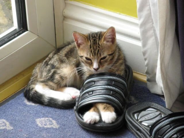 詹姆斯率队晋级四强NBA季后赛,詹姆斯季后赛40+全记录