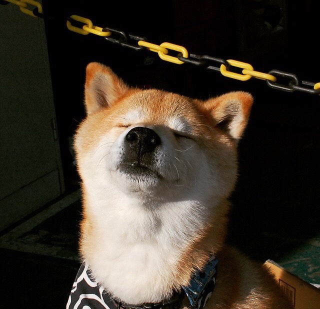 青训营引进先进训练设备提升球员技术水平,青训营百度百科