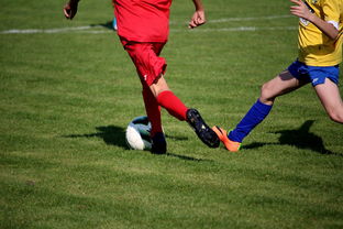 爱游戏下载-NBA球员训练计划个性化设计，nba球员训练视频,篮球技术